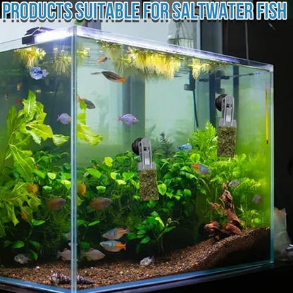 2Pcs Goldfish Feeder, Saltwater Aquarium Accessories Supplies Algae Magnet Seaweed Feeder Aquarium Magnetic Clips, Fish Tank Feeding Ring Suitable for Aquatic Pets - color: 2Pcs
