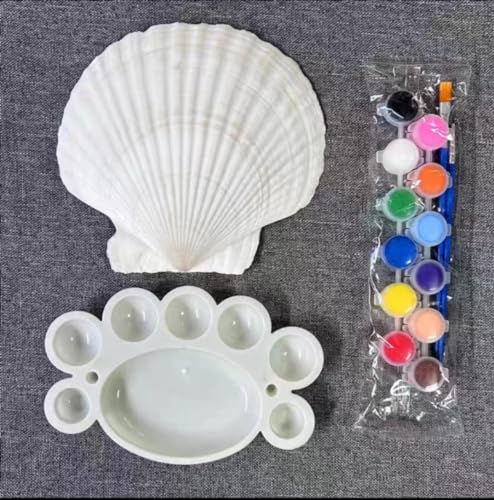SEAJIAYI 10 PCS Large Scallop Shells 4-5 inch Natural White Scallop Shells from Sea Beach for DIY Craft Decor - size: XL-LARGE