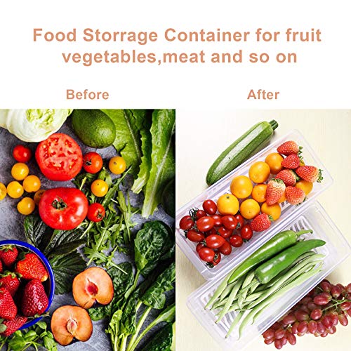 4PCS Food Storage Container, Plastic Food Containers Small | [With Removable Drain Plate and Lid], [Stackable Portable Freezer Storage Containers]-Tray to Keep Fruits, Vegetables, Meat - size: Small(4PCS)