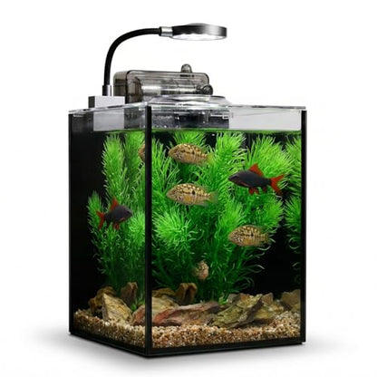 1.2 Gallon Betta Fish Tank, Small Aquarium Kit,Glass Small Fish Tank,Betta Fish Tank with a lid and Light and Filter, Small Transparent Glass Fish Tank with Light and Filter(Black Glass Background) - size: 1.2 Gallon