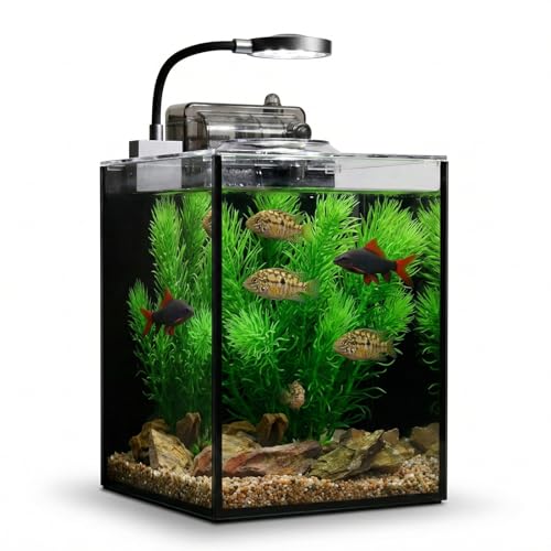 1.2 Gallon Small Fish Tank, Beta Fish Aquariums Starter Kits with Nano Clip-on LED, Waterfall Filter Pump, Plants, Gravel and Rock, Perfect for Small Fish, Shrimp, or Betta (with Lid) - size: 1.2 Gallon