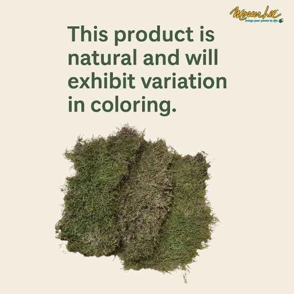 Mosser Lee ML0480 Natural Green Sheet Moss – 520 sq. in. – Organic Decorative Moss for Terrariums, Planters, Crafts & Moisture Retention - style: 520 Sqaure Inch