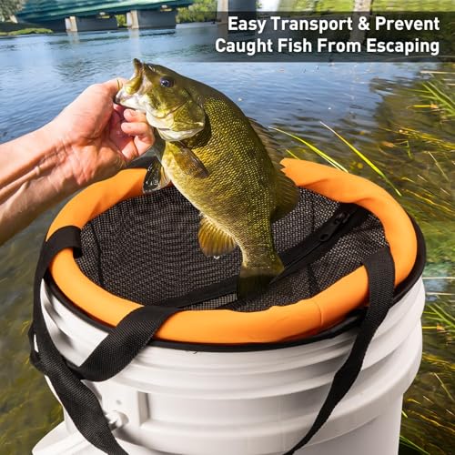QualyQualy Floating Fish Basket for 5 Gallons Buckets, Foldable Fishing Basket Bait Net for Live Caught, Rubber Coated Mesh Fish Holder for Kayak Fishing Live Well Baitfish Minnow Bucket