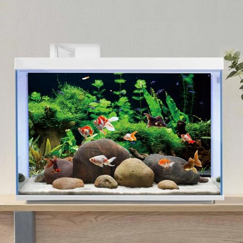 AWERT 24x12 inches River Bed & Lake Fish Tank Background Seagrass Aquarium Background Aquarium Background Vinyl Background - size: 24x12in/60x30cm