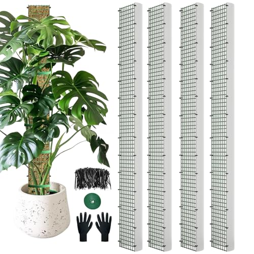 60" Metal Moss Pole, D Shape Sphagnum Moss Pole, Moss Poles for Climbing Plants, Monstera, Indoor Climbing Plants (4Pcs 60") - style: 4Pcs 60"