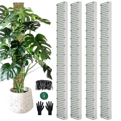 60" Metal Moss Pole, D Shape Sphagnum Moss Pole, Moss Poles for Climbing Plants, Monstera, Indoor Climbing Plants (4Pcs 60") - style: 4Pcs 60"