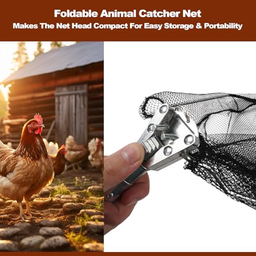 Chicken Catching Net, Animal Catch with Extendable 46In Long Handle | Landing Nets for Bird, Ducks, Cat, Dogs, Frog, Fishnet, Chicken Catcher for Poultry Supplies - Stainless Steel