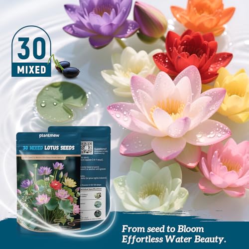 Lotus Seeds for Planting in Water – 30 PCS Mixed Bowl Lotus Seeds, Water Lily & Water Plants for Ponds, Live Pond Plants for Outdoor Ponds, Floating Pond Plants – Indoor Bonsai, Garden, Koi Pond - size: 30pcs Bowl Lotus Seeds for Panting