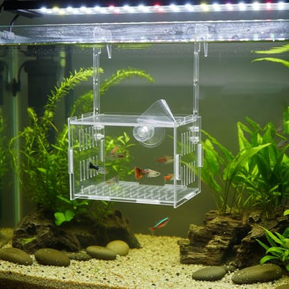 Aquarium Breeder Box, Aquarium Breeder Box, Clear Acrylic Fish Breeding with Adjustable Hooks & Suction Cups for Safe Fry Isolation, Fish Tank Divider (15x10x10cm)