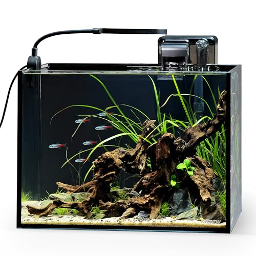 NICREW 2.5 Gallon Nano Nature Aquarium Kit, Ultra-Clear Rimless Desktop Fish Tank with Light and Filter, Perfect for Small Fish, Shrimp, or Betta, Basic Version, Black - color: Black