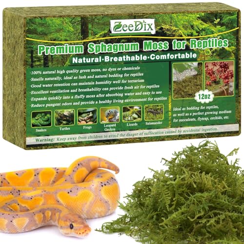 0.75 lb Sphagnum Moss for Reptiles | 20 qt Reptile Bedding substrate Tank Accessories Terrarium Moss, Green Forest Moss for Leopards Geckos Snakes Turtles Frogs - color: 12oz