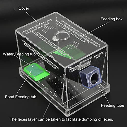GLOGLOW Cricket Care Kit, with Feces Layer Acrylic Feeding Cricket Keeper with a Food Feeding Tub Care Kit Reptile Tank Box for Observation of Breeding