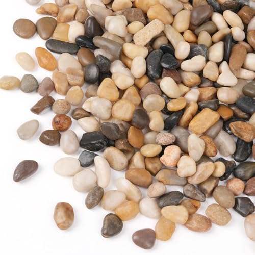 5lb Drainage Rocks for Potted Plants, 1/5 Inch Decorative Pea Gravel | Small Pebbles for Indoor Plants, Aquarium, Fish Tank, Succulent, Vases, Terrarium Cactus, Crafts, Bamboo, Mixed Color - size: 5lb