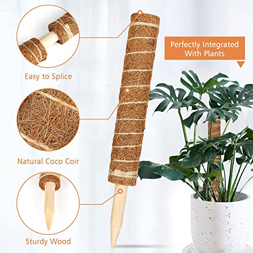 Moss Pole for Plants Monstera,【6 Pack】 17 inch Plant Support Pole, Extendable Coir Totem Pole for Potted Plants Pothos, Train Indoor Climbing Plants to Grow Upwards - size: 6 Pack 17 inch