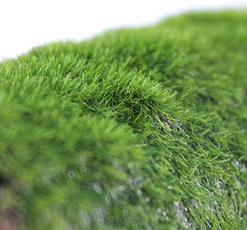 PENN-PLAX Deco-Replicas Hide-Away Pipes with Club Moss Aquarium Decoration – Realistic Appearance with Various Textures – Safe for Freshwater and Saltwater Fish Tanks