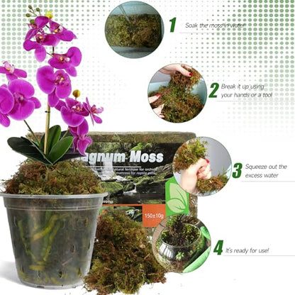 Doter Dried Forest Moss for Plants (5 qt / 1 Pack), Sphagnum Potting Moss for Various Plants, Including Orchids, Carnivorous Plants, Succulents, Garden Flowers, and Reptiles