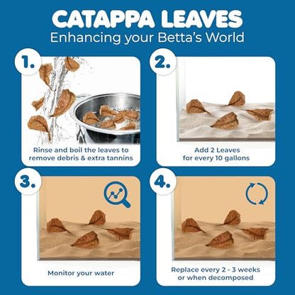 SunGrow 50 pcs Catappa Indian Almond Leaves – 2” Water Conditioner for Betta Fish Tank, Aquarium Leaf for Fish Breeding, Shrimp, Goldfish, Guppy & Frogs