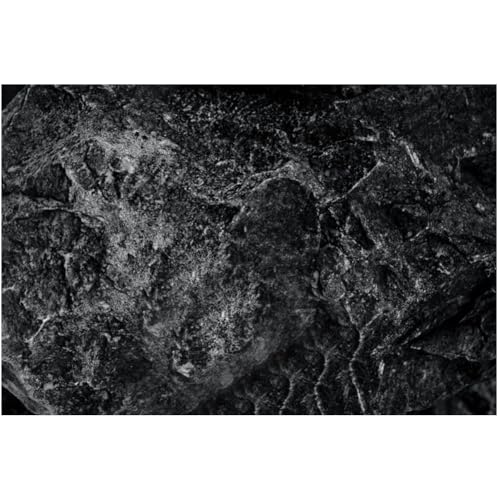 CREATCABIN Aquarium Background Sticker Self-Adhesive Stickers Decals Decor Home Office Aquariums Gift for Fishkeeping Enthusiasts Aquascaping Hobbyists 23.62x11.81 Inch Black Mottled Rock Face - style: Mottled rock face