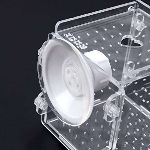 Fish Breeding Box Clear Acrylic Fish Isolation Boxes Aquarium Hatchery Incubator with Suction Cup for Newborn Shrimp
