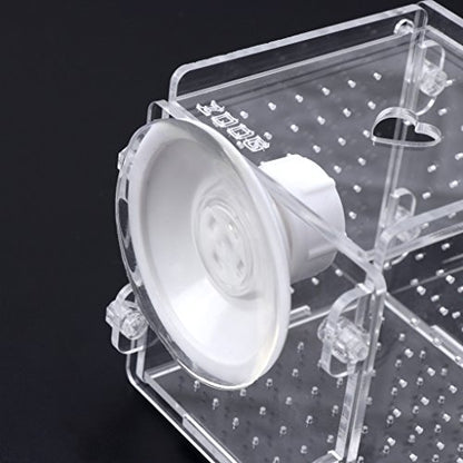 Fish Breeding Box Clear Acrylic Fish Isolation Boxes Aquarium Hatchery Incubator with Suction Cup for Newborn Shrimp