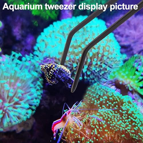 31.5Inch Long Corals Grabber,reefs Feeders,Aquarium Veggie Feedting Tool,Aquarium Food Clip Feeding(Long Reef Grabber and Coral Feeder Kits(Anti-Rust) - size: Long Reef grabber and coral feeder(ANTI-RUST)