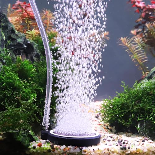 hygger Air Stone for Aquarium: Quiet High Dissolved Oxygen Diffuser Kit for Freshwater or Saltwater Fish Tank and Hydroponic Air Pump-Disc 2 x 2 Inch Air Bubble Stone Without air Pump - size: 5CM