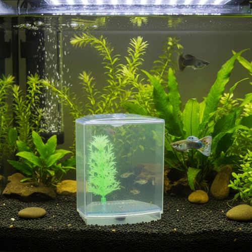 Mini Fish Breeding Box Acrylic Isolation Tank with Dirt Groove for Aquarium Fish Observation and Protection (Single) - size: Single