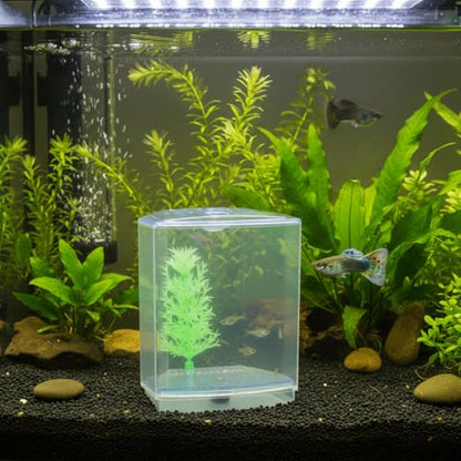 Mini Fish Breeding Box Acrylic Isolation Tank with Dirt Groove for Aquarium Fish Observation and Protection (Single) - size: Single