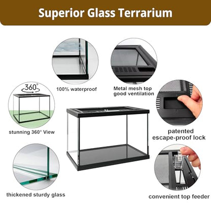 Small Reptile Glass Terrarium Kit 12"x8"x8" Full View Reptile Enclosure Tank for Spiders,Tarantulas,Hermit Crabs,Geckos,Frog,Turtle,Fish and Isopod with Tank Accesssories and Top Openning Door - size: 8"W x 12"D x 8"H