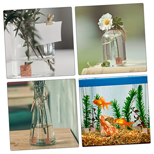 12Pcs Pottery Fixed Rings for Aquarium Plants Durable Lightweight Water Plant Holder for Fish Tank Decoration for Aquatic Plant Fixing and Fish Shelter