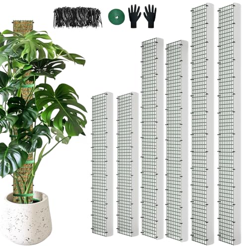 60"/40"/24" Metal Moss Pole, 6 Pack D Shape Sphagnum Moss Pole, Moss Poles for Climbing Plants, Monstera, Indoor Climbing Plants (2 Each of 60" 40" 24") - style: 2 Each of 60" 40" 24"