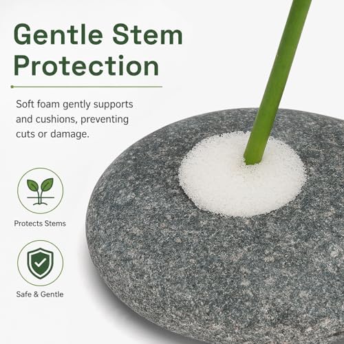5-Pack Natural River Stone Aquarium Plant Weights, 0.79 Inch Hole | 3 Single-Hole and 2 Double-Hole Anchors, No-Tie Stem Insertion, Reusable, for Bare-Bottom and Planted Tanks