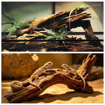 Hamiledyi Reptile Wood Branches 11.8" Length Snake Climbing Branch Lizard Habitat Natural Wood Decoration Bearded Dragon Climbing Accessories for Leapord Gecko