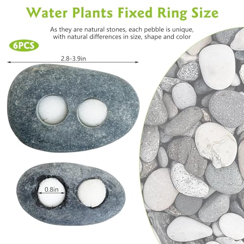 Hamiledyi Drilled Pebble Aquatic Plant Anchors Water Plants Fixed Ring Natural River Stone Plant Weights for Fish Tank Aquarium Decorations Landscape Stones(Aperture: 0.8" 2holes 6pcs)