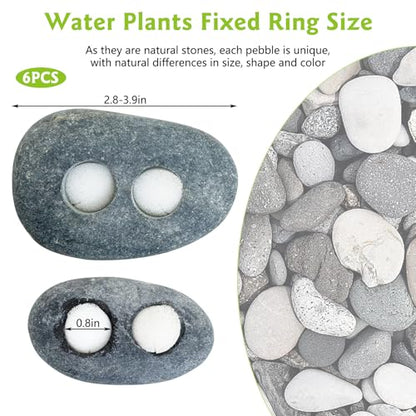 Hamiledyi Drilled Pebble Aquatic Plant Anchors Water Plants Fixed Ring Natural River Stone Plant Weights for Fish Tank Aquarium Decorations Landscape Stones(Aperture: 0.8" 2holes 6pcs)
