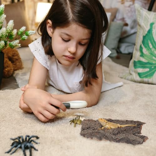 IMIKEYA 4Pcs Reptile Tree Bark Reptile Hides: Natural Wood Cork Bark Gecko Hide Small Climbing Barks Terrarium Decor Lizard Geckos Tortoise Birdcage Tank Accessories Water Tube Landscaping