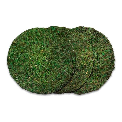 SuperMoss (26325) Moss Soil Toppers (Place Mats), Fresh Green, 16" (3 units) - color: Fresh Green, size: 16" (3 units)