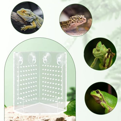 Bearded Dragon Tank Accessories, Transparent Acrylic Corner Hunting Bowl with Suction Cups, Bearded Dragon Food Bowl, Chameleon Feeder, Food Dispenser for Bearded Dragon, Chameleon, Frog