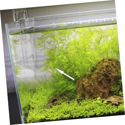 1set Acrylic Fish Breeding Box with Cups Hook Isolation Container for Aquarium Transparent Design for Easy Observation Feeding for Betta Shrimp Care