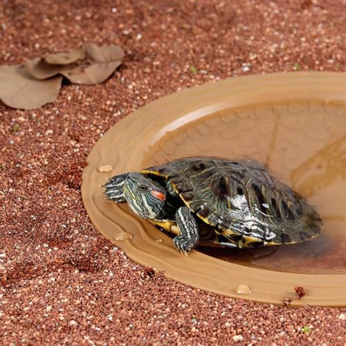 Turtle Bathing Pool Small for Reptiles & Amphibians - Resin Water Dish & Feeding Bowl with Gentle Slope - Safe for Turtles, Lizards, Frogs, Snakes (Yellow) - color: Yellow