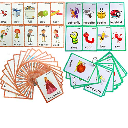 Set of Adjective&Antonym and Insect Flash Cards for Toddlers |Kids Learning Flashcard & Montessori Pocket Cards Toys | Perfect for Pre-K Decor Background Wall Stickers, Teacher/Autism Therapists Tools - color: Adjective&antonym and Insect