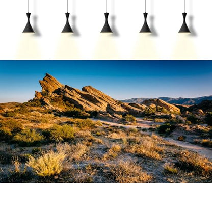 Desert Reptile Tank Background Evening Light on Rocks Terrarium Background Sunset Desert Rocky Bush Thorns Reptile Enclosure Backgrounds Desert Gobi Bearded Dragon Tank Aquarium Backgrounds 24x12in - color: Gobi Gold, size: 24(W)x12(H)inches/ 60(W)*30cm(H