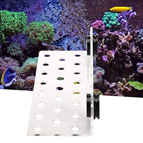 TOPINCN Acrylic Magnetic Frag Holder - Support SPS Button Bracket Base for Fish Aquarium (23 Hole)
