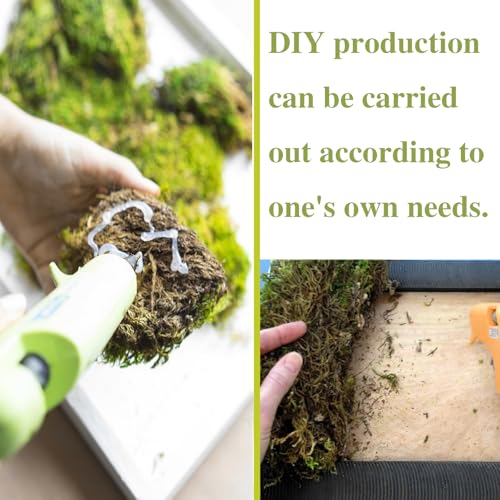Preserved Moss for Crafts Potted Plants 2 sq.ft. Dried Natural Preserved Moss Mat Green Moss for Planters Crafts Woodland Decor Garden Party Decorations Wall Art DIY Project Green
