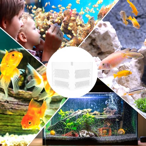 Fish Tank Partition Grid Board Acrylic Aquarium Isolation Pump Guards Single Layer Divider for Home Aquarium Filtration and Gravel Separation