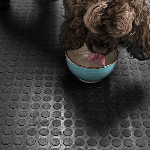 MSI Premium Black Rubber Floor Mat Roll - 3.3 x 33 ft, 4mm Thick - Heavy-Duty, Waterproof, Non-Slip Coin Texture - Cuttable, Easy Clean, Multipurpose Matting for Garage, Gym, Workshop, Industrial Use
