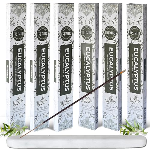 Eucalyptus Incense Sticks - Total 120 Insence-Sticks - 6 Packs of 20 Insense - Inciensos - Inscents - Natural Non Toxic Ingredients - Incents - Incence - Inscense - Insents - color: Eucalyptus, size: Pack of 6 (120 Sticks)