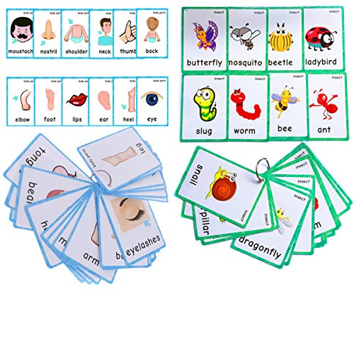 Set of(Body Parts+Insects) Flash Cards for Toddlers | Kids Learning Montessori Pocket Cards Toys | Perfect for Pre-K Decorations Background Wall Stickers,Teacher/Autism Therapists Tools - color: Body Parts+insects