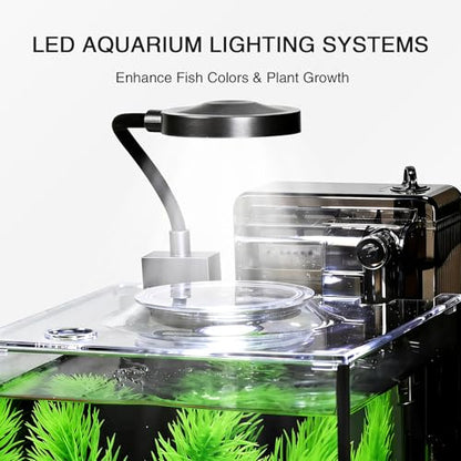 1.2 Gallon Betta Fish Tank, Small Aquarium Kit,Glass Small Fish Tank,Betta Fish Tank with a lid and Light and Filter, Small Transparent Glass Fish Tank with Light and Filter(Black Glass Background) - size: 1.2 Gallon