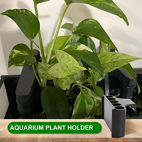 Aquarium Plant Holder for Rimmed Tank, Aquarium Hanging Plant Holder, Plastic Aquatic Plant Pot with 5 Hole, Fish Tank Decorations for Aquatic Plants, 0.5 inch - size: 0.5 Inch